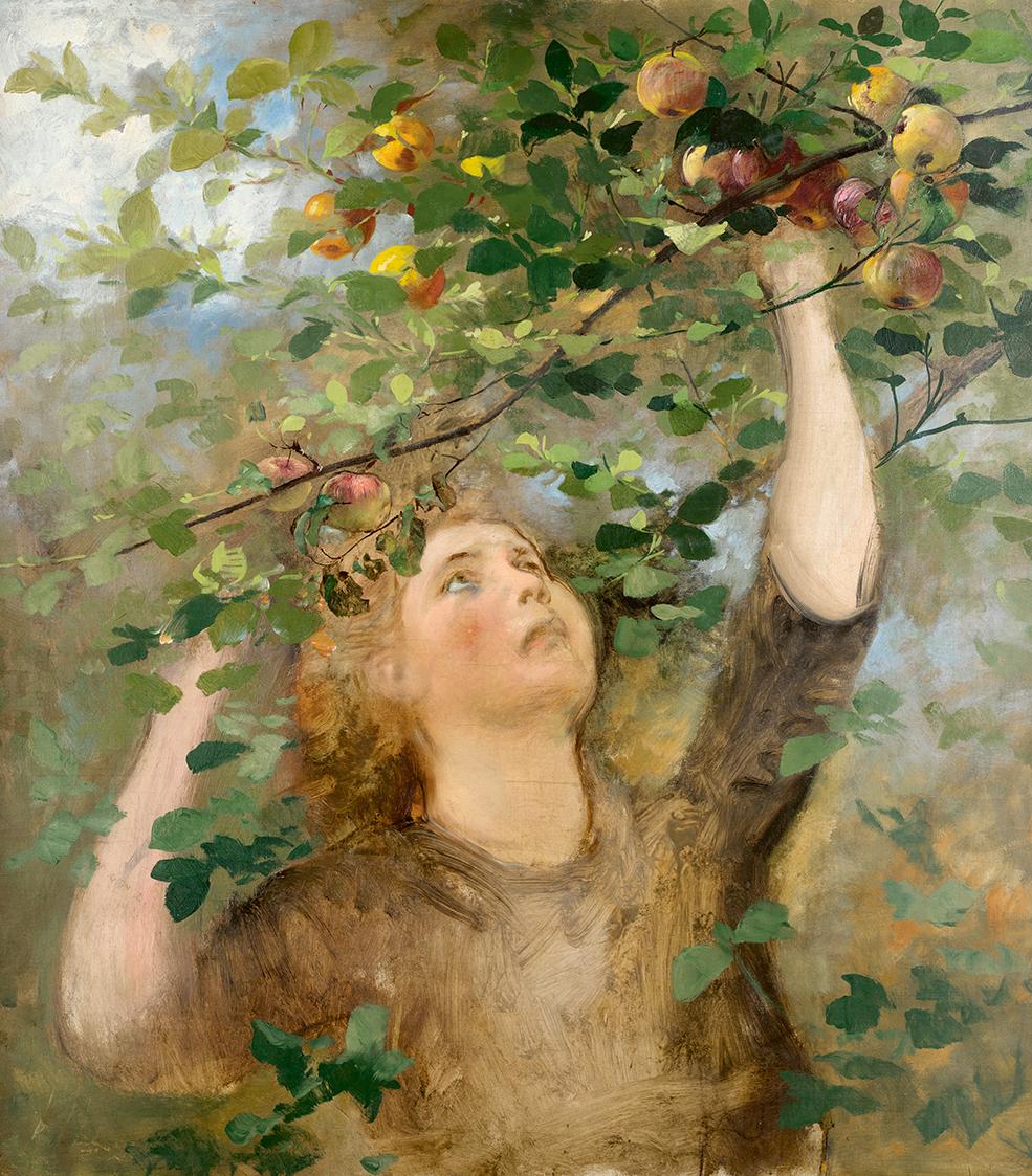 Girl Picking Apples