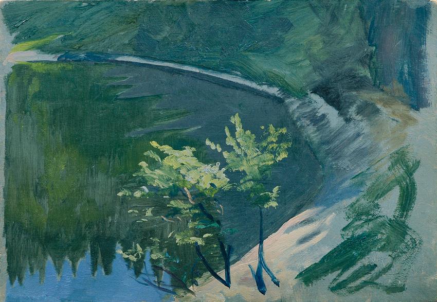 Otto Friedrich, See-Ecke beim Berghof, 1907, Öl auf Holz, 18,6 x 27,2 cm, Belvedere, Wien, Inv.…