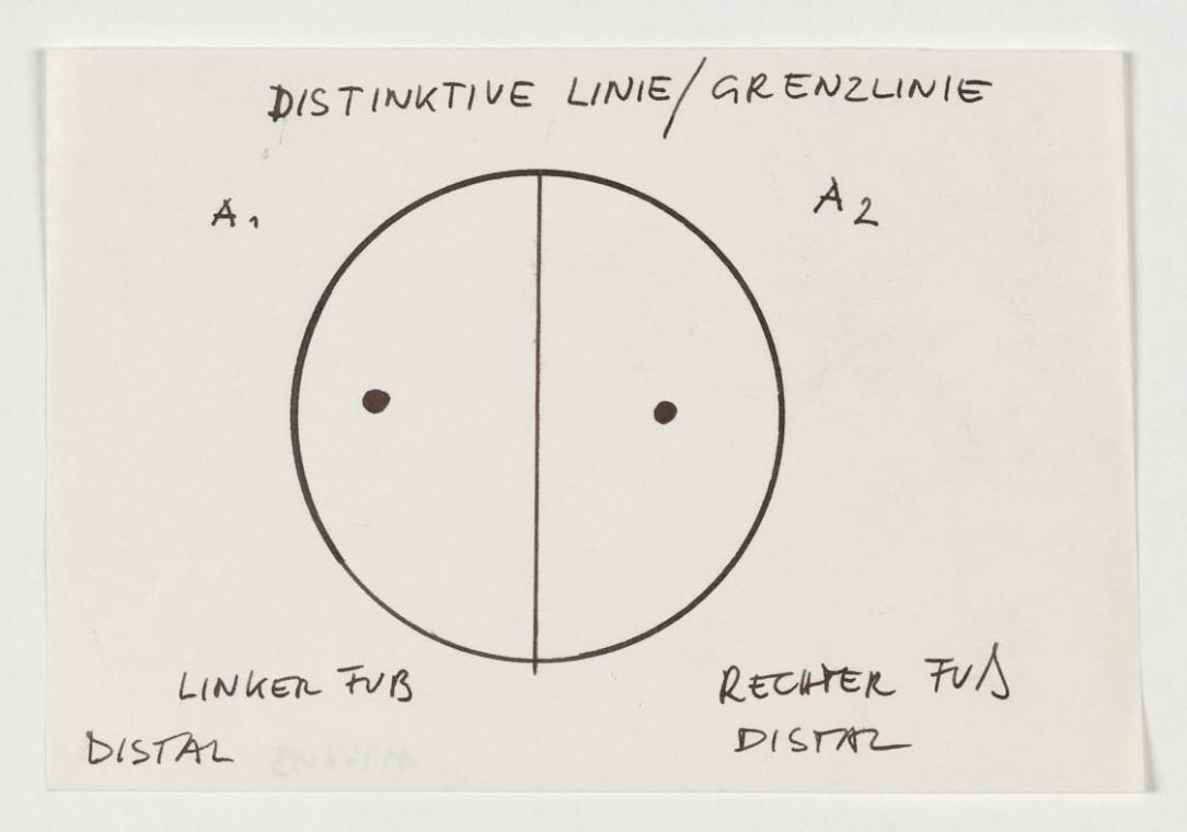Dizission. Geteiltes Selbst, 1976
Konzept für eine Aktion im Freien
WVZNr. V.E. 440_AP_1 (C)
