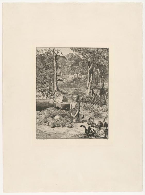 The image depicts a landscape scene surrounded by trees and bushes. In the foreground, a child is sitting on the ground, surrounded by various plants and a large stone. In the background, there are more trees and a tranquil, natural setting visible. The scene conveys a peaceful and harmonious atmosphere.

[AI-generated with ChatGPT]