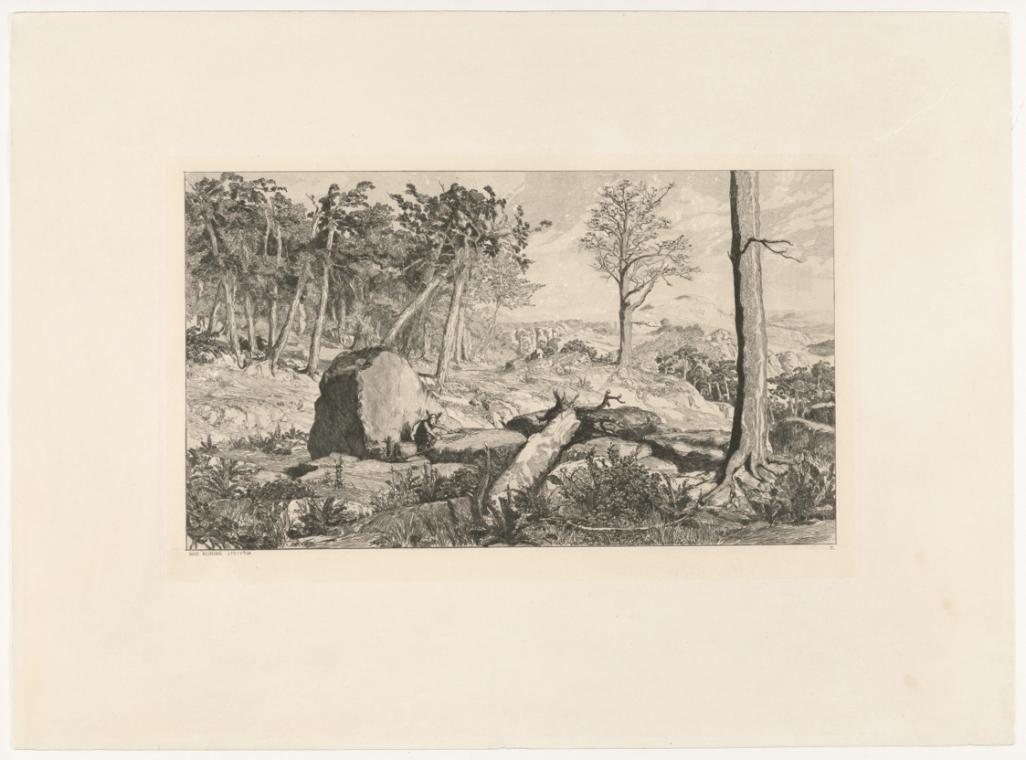 The image depicts a landscape with trees and rocks. In the foreground, there is a large stone surrounded by small plants. On the left side, a tree stands, while a gentle range of hills is visible in the background. The sky is partially covered with clouds. The scene appears calm and close to nature.

[AI-generated with ChatGPT]