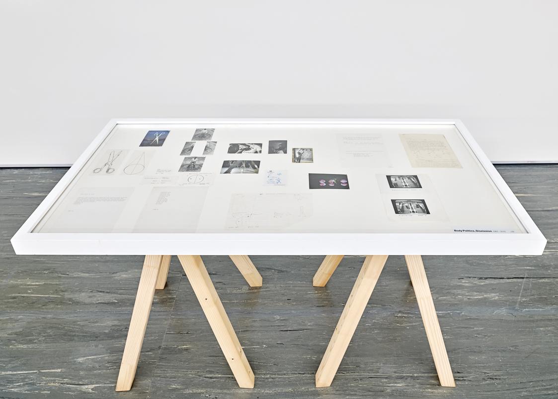 Vitrine I Display Case 29. Body Politics, Dizission