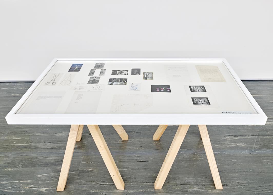 Vitrine I Display Case 29. Body Politics, Dizission
