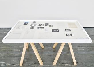 Vitrine I Display Case 29. Body Politics, Dizission