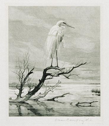 Hans Ranzoni d. J., Silberreiher, 1936, Kupferstich, 17 x 13,7 cm, Belvedere, Wien, Inv.-Nr. 81…