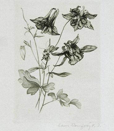 Hans Ranzoni d. J., Akelei mit Bockskäfer, 1928, Kupferstich, 13,7 x 9,9 cm, Belvedere, Wien, I…