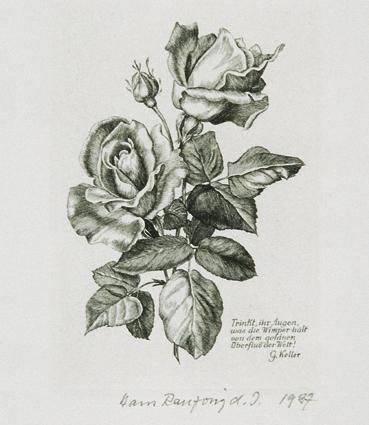 Hans Ranzoni, Zwei Rosen, 1987, Kupferstich auf Papier, 9,5 × 6,8 cm, Belvedere, Wien, Inv.-Nr.…