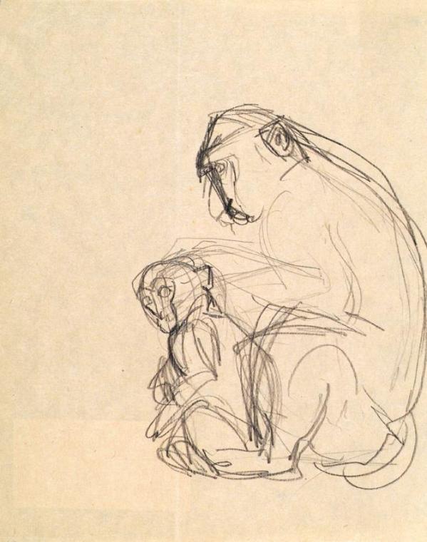 Franz Barwig d. Ä., Affe mit Jungem, 1928, Bleistift auf Papier, 27,5 x 21,5 cm, Belvedere, Wie…
