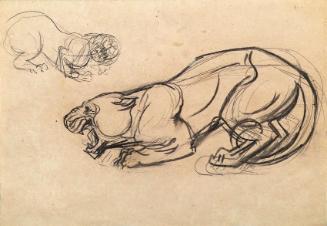 Franz Barwig d. Ä., Skizzen zum "Fauchenden Löwen", 1926/1927, Kohle auf Papier, 31 x 45 cm, Be…