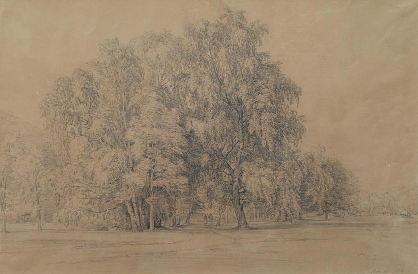 Joseph Martin Höger, Birkengruppe im Park von Schloß Seebenstein in Niederösterreich, 1866, Ble ...