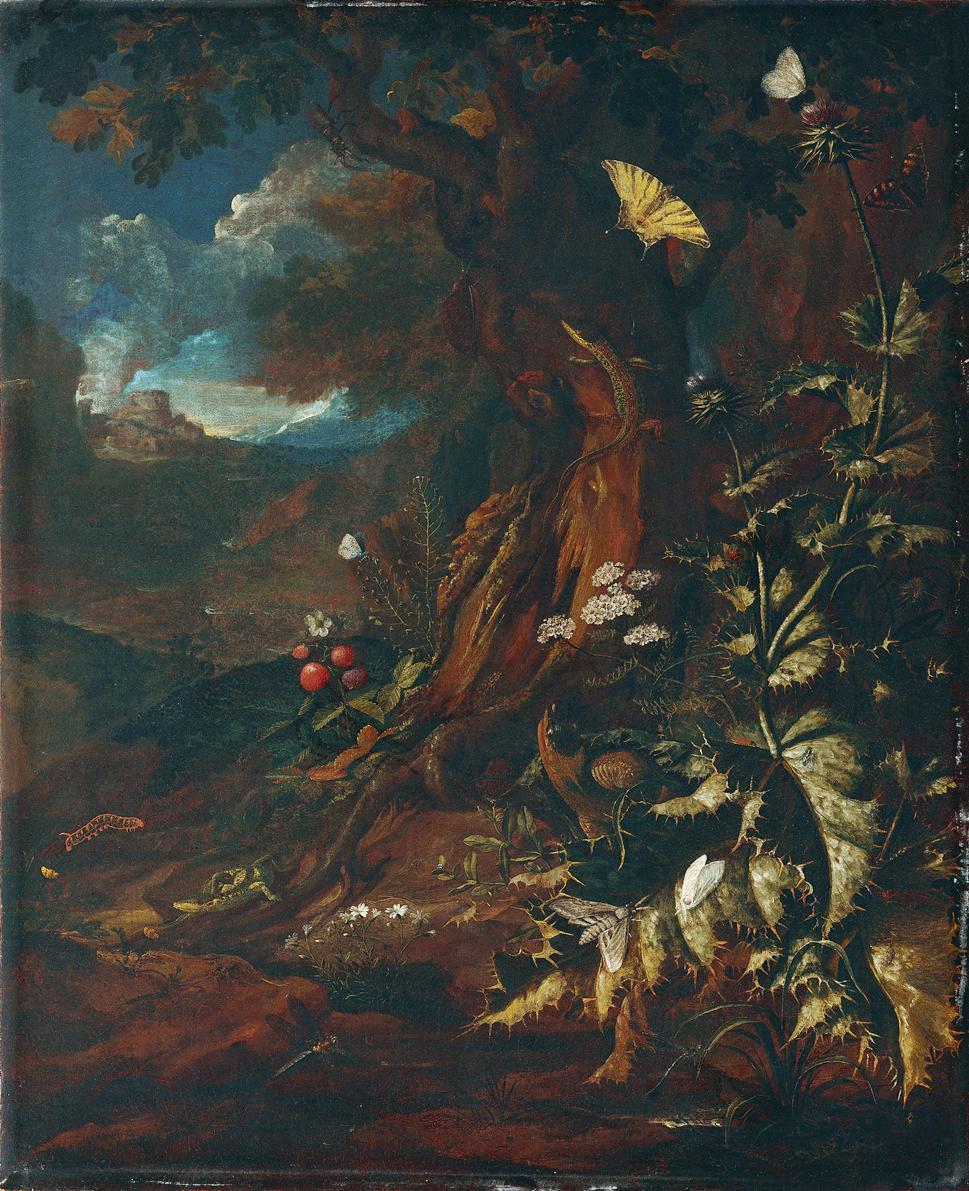 Johann Adalbert Angermayer, Landschaft mit Reptilien und Insekten (I), um 1730/1740, Öl auf Lei…