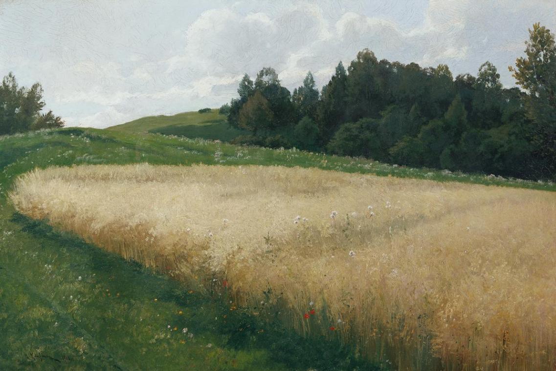 Adolf Kaufmann, Das Haferfeld, 1906, Öl auf Leinwand, 74,5 x 111 cm, Belvedere, Wien, Inv.-Nr.  ...