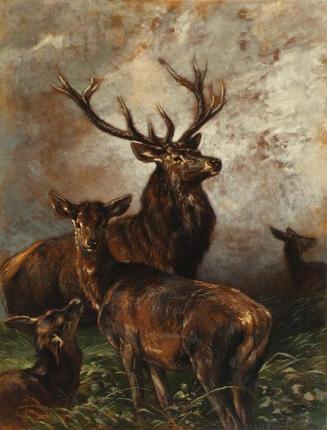 Franz Xaver von Pausinger, Hirsch und Hirschkühe, 2. Hälfte des 19. Jahrhunderts, Öl, Kohle auf…