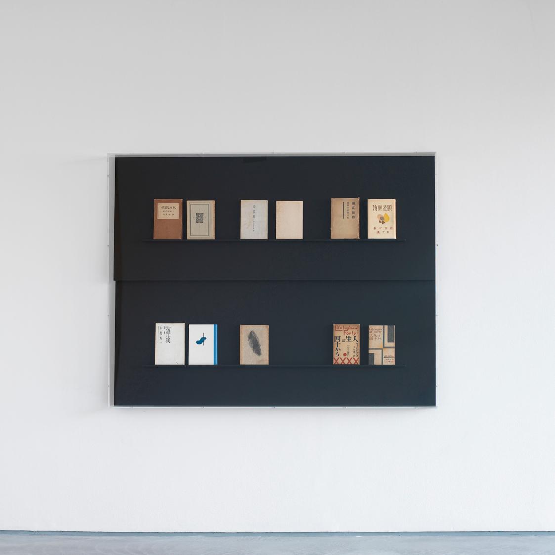 Florian Pumhösl, Relief (Plan without Outcome), 2008, Glasvitrine, Bücher, Display bezogen mit …