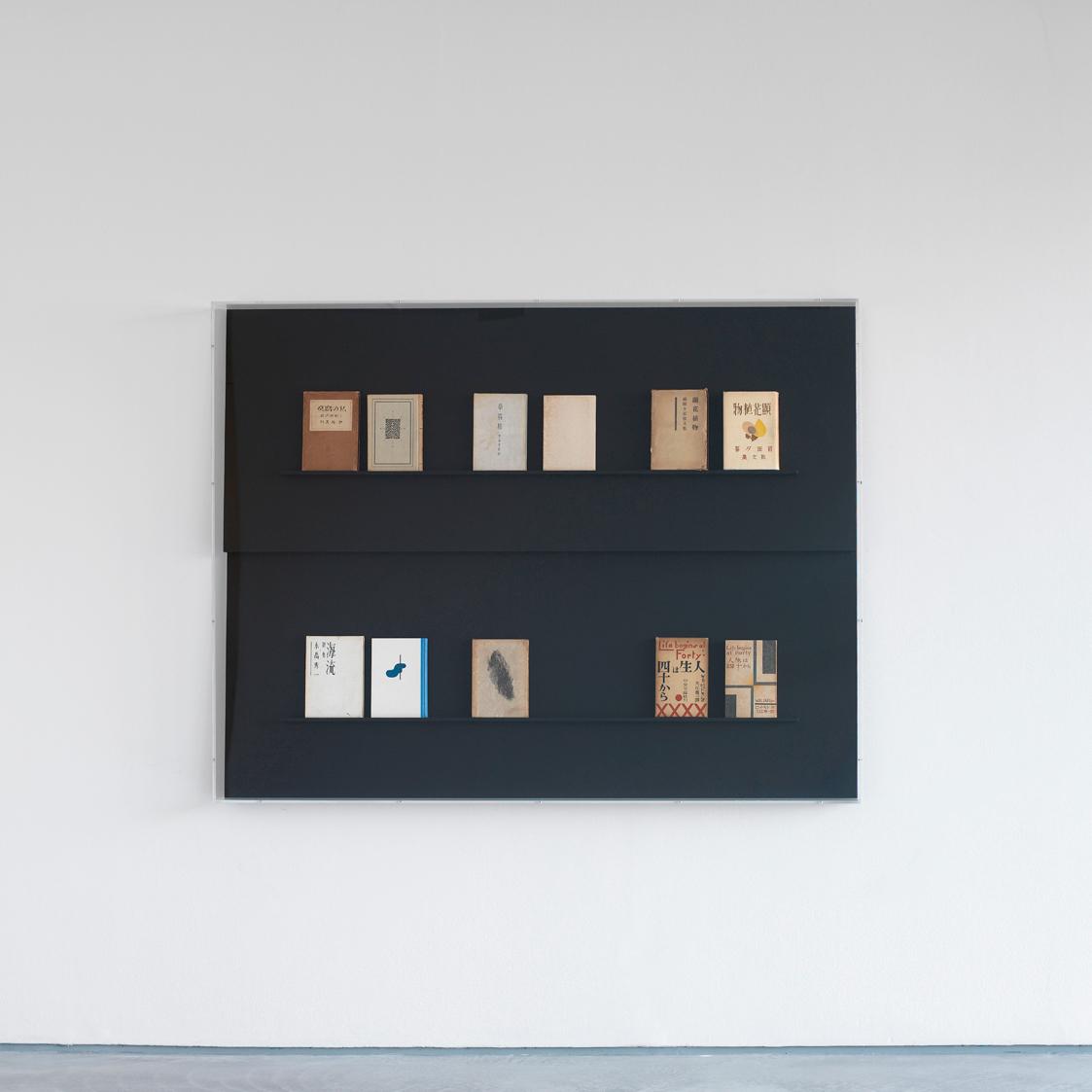 Florian Pumhösl, Relief (Plan without Outcome), 2008, Glasvitrine, Bücher, Display bezogen mit  ...