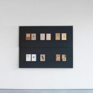 Florian Pumhösl, Relief (Plan without Outcome), 2008, Glasvitrine, Bücher, Display bezogen mit …