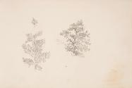 Erasmus von Engert, Studie in zweitem Skizzenbuch, um 1825, Blattmaße: 12,3 x 19,6 cm, Belveder…