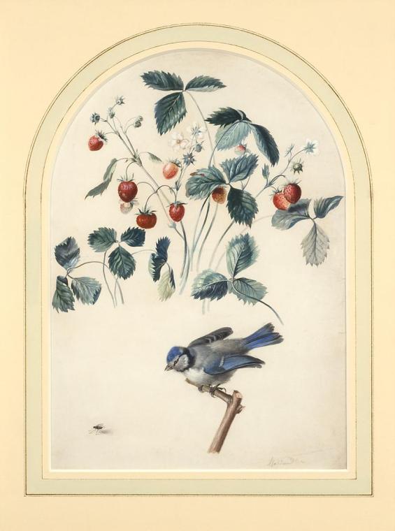 Ferdinand Georg Waldmüller, Erdbeeren und Blaumeise, um 1810, Aquarell auf Papier, 34 × 25 cm, …