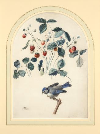 Ferdinand Georg Waldmüller, Erdbeeren und Blaumeise, um 1810, Aquarell auf Papier, 34 × 25 cm, …