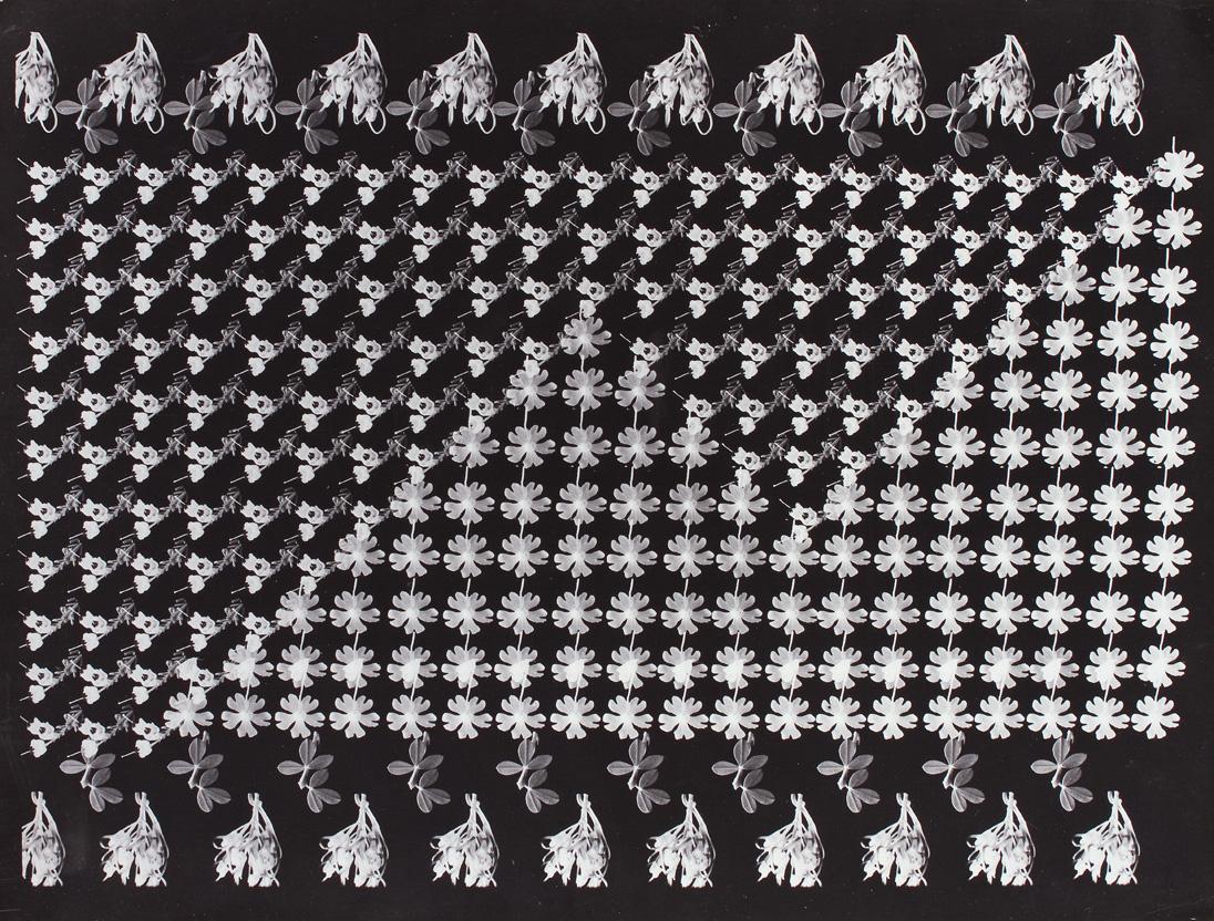Alexander Stern, Multifotografie, um 1932, Schwarzweiß-Fotografie auf Barytpapier, Handabzug vo…