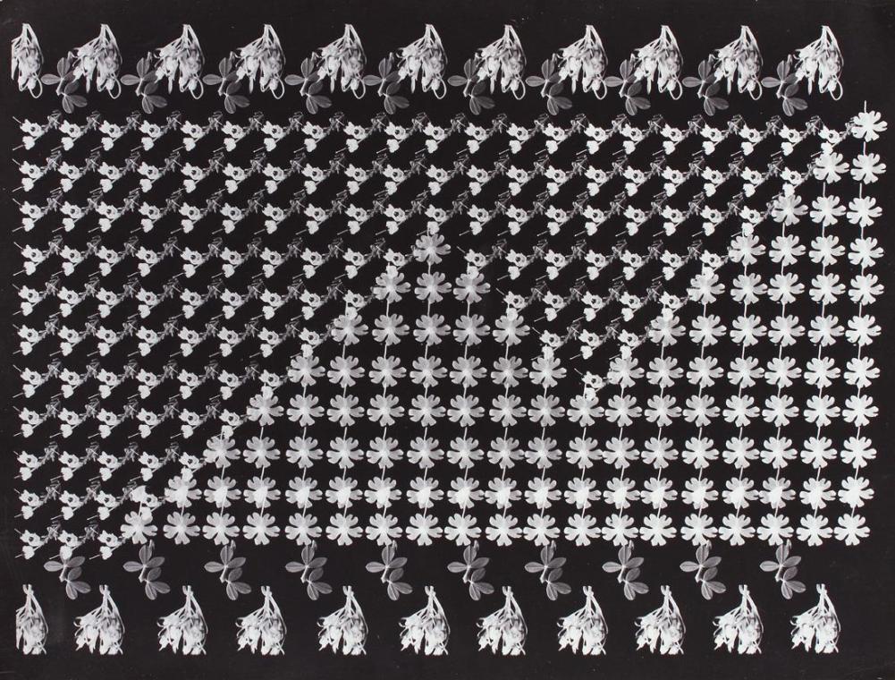 Alexander Stern, Multifotografie, um 1932, Schwarzweiß-Fotografie auf Barytpapier, Handabzug vo…