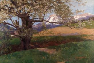 Karl Maria Schuster, Blühender Kirschbaum, um 1905/1906, Öl auf Leinwand, 80,5 x 120 cm, Belved…