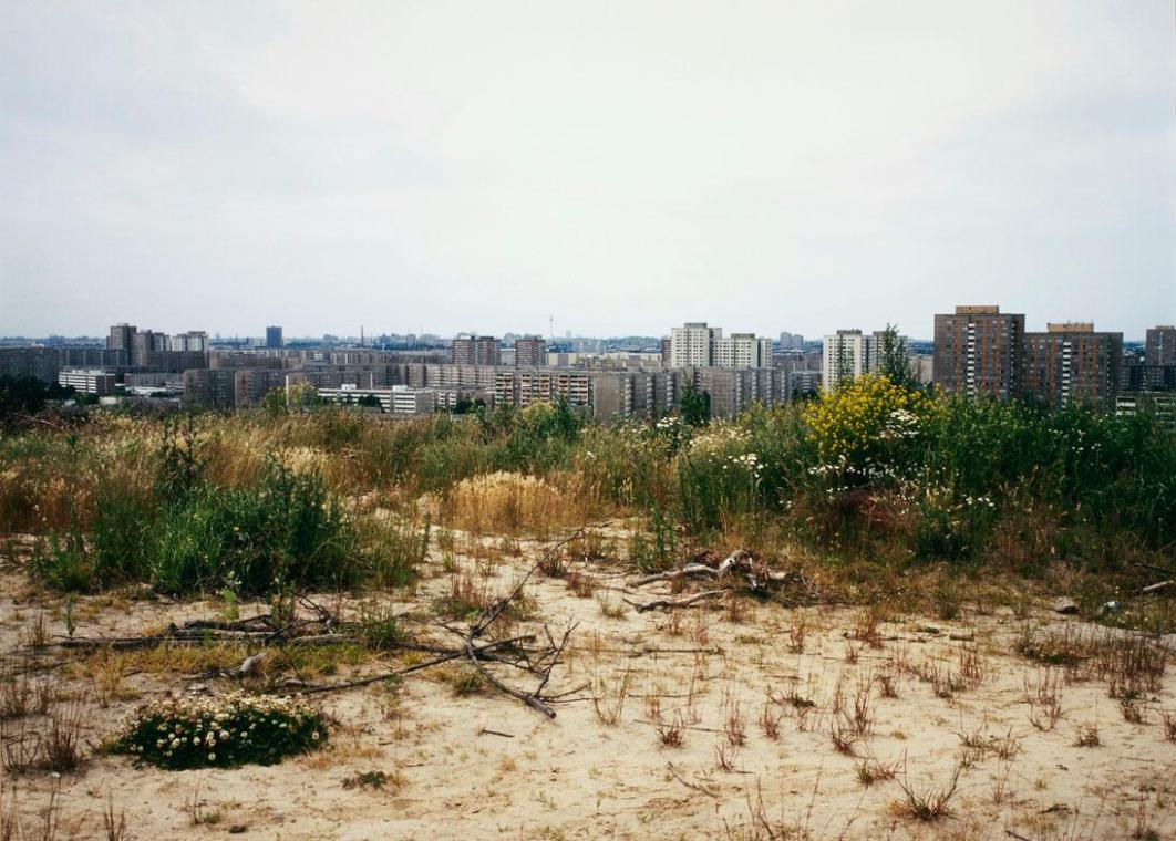 Lois Weinberger, Berlin-Marzahn, Foto, 50 x 70 cm, Belvedere, Wien, Inv.-Nr. 10143