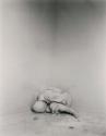 Günter Brus, Portfolio Ana I, 1964/2004, Silbergelatine auf Baryt, 12 Abzüge, Belvedere, Wien, …