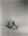 Günter Brus, Portfolio Ana I, 1964/2004, Silbergelatine auf Baryt, 12 Abzüge, Belvedere, Wien, …