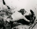 Günter Brus, Portfolio Ana III, 1964/2004, Silbergelatine auf Baryt, 12 Abzüge, Belvedere, Wien…