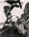Günter Brus, Portfolio Ana IV, 1964/2004, Silbergelatine auf Baryt, 12 Abzüge, Belvedere, Wien,…