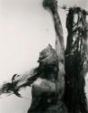 Günter Brus, Portfolio Ana IV, 1964/2004, Silbergelatine auf Baryt, 12 Abzüge, Belvedere, Wien,…