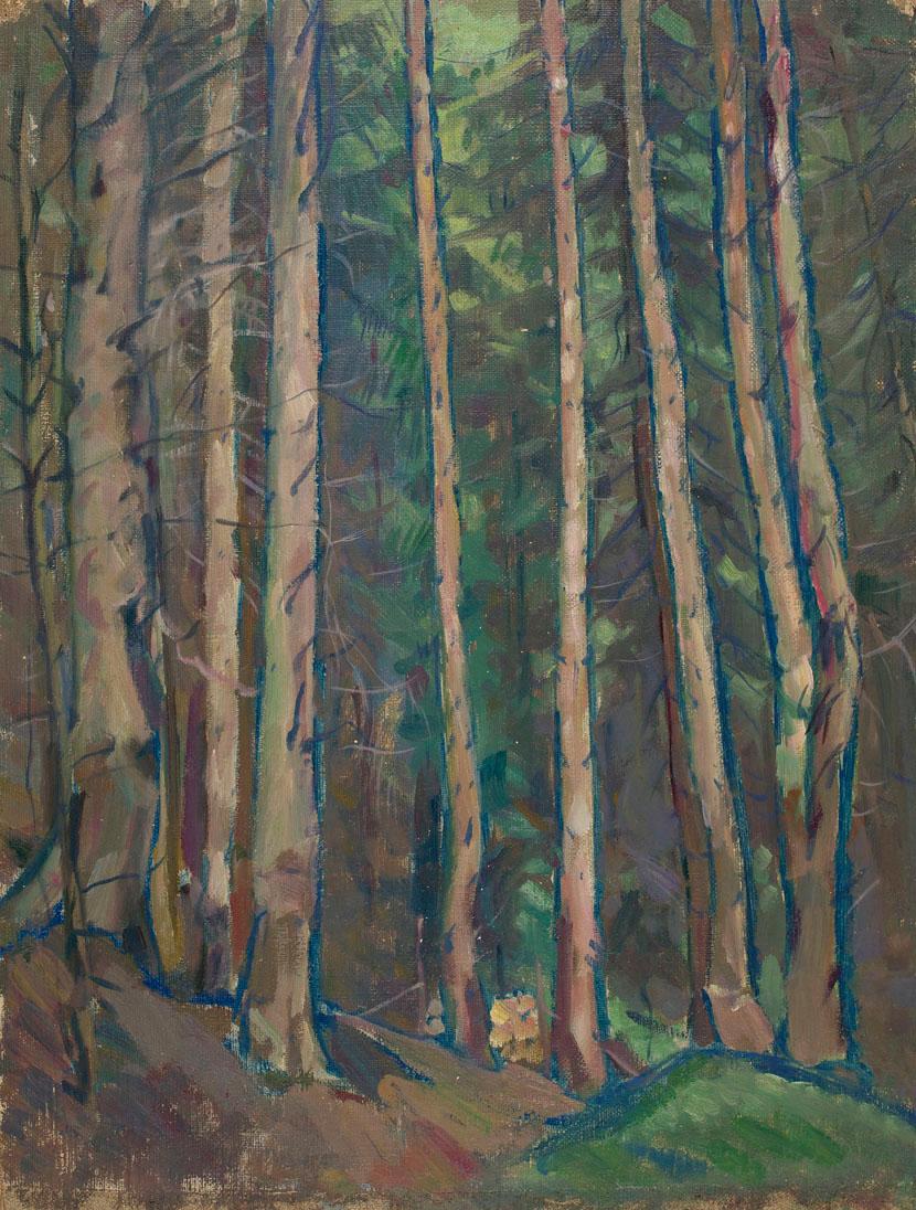 Ernestine Rotter-Peters, Wald, vor 1930, Öl auf Leinwand, 60 x 46 cm, Belvedere, Wien, Inv.-Nr.…