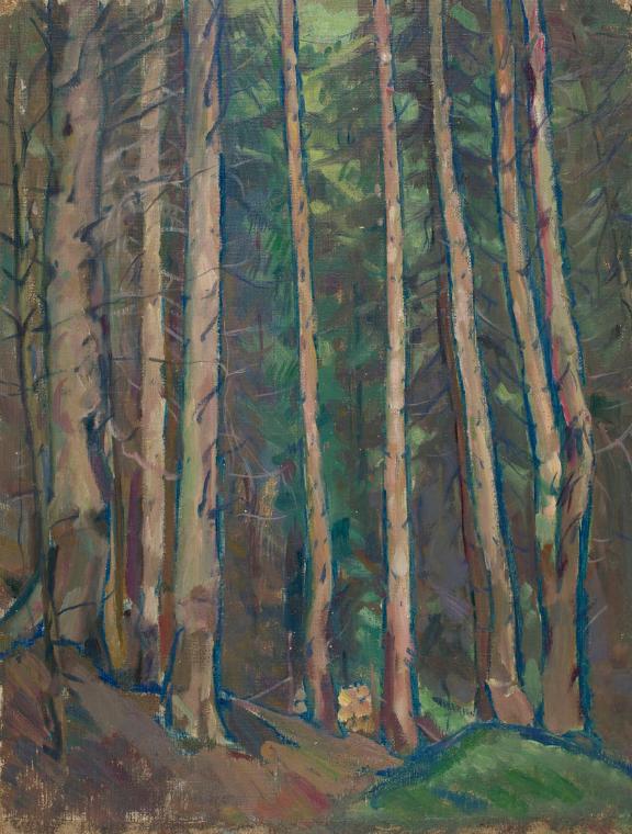 Ernestine Rotter-Peters, Wald, vor 1930, Öl auf Leinwand, 60 x 46 cm, Belvedere, Wien, Inv.-Nr.…