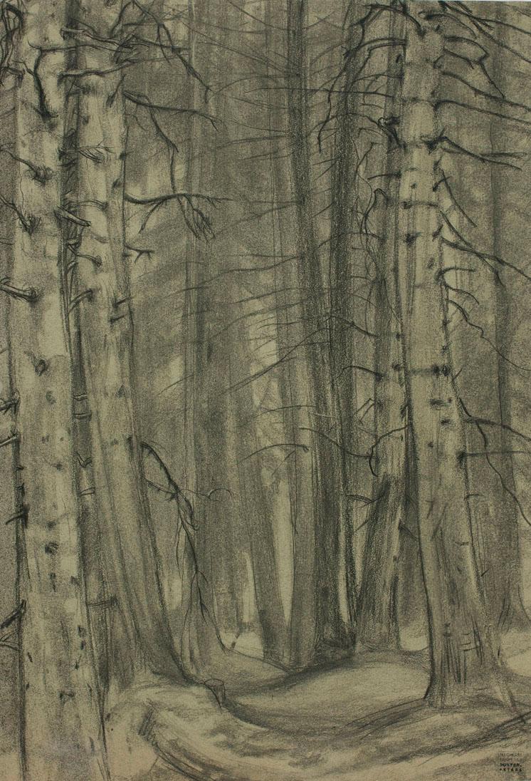 Ernestine Rotter-Peters, Wald, um 1930, Kohle auf getöntem Papier, 57 x 40 cm, Belvedere, Wien,…