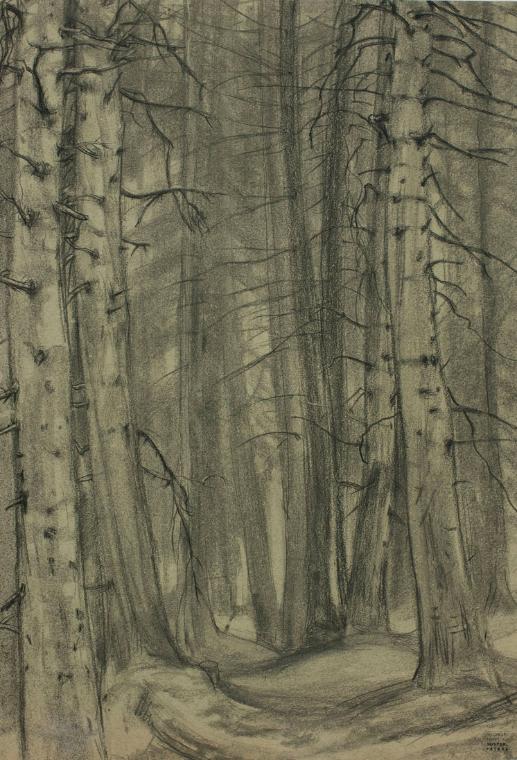 Ernestine Rotter-Peters, Wald, um 1930, Kohle auf getöntem Papier, 57 x 40 cm, Belvedere, Wien,…