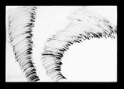 Mahony, Kimm Sun Sinn, 2010, Bilderwand bestehend aus 19 Arbeiten, Detail: Weltenstrudel, Belve…