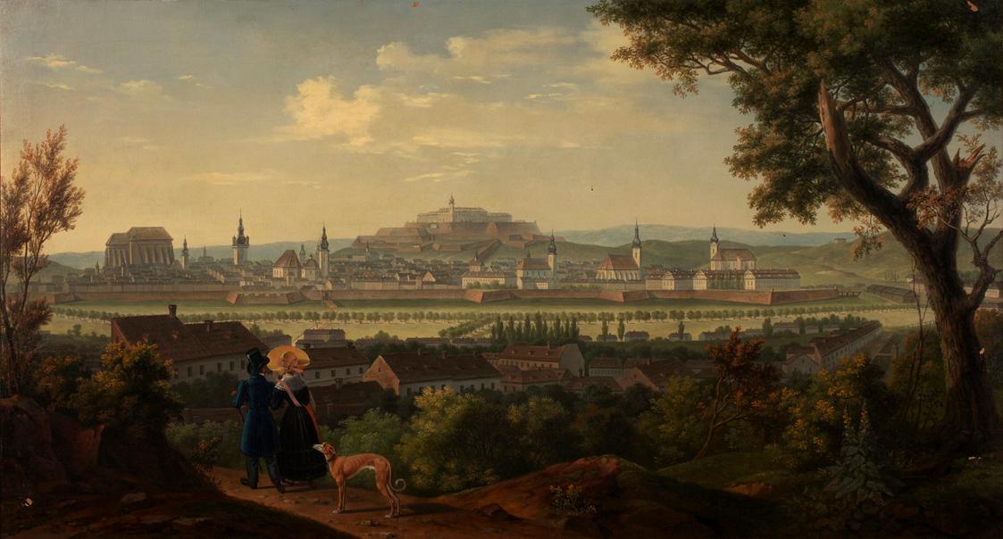 Brno with Špilberk