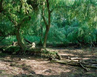 Constanze Ruhm, My_Never_Ending_Burial_Plot, 2010, C-Print auf Aluminium kaschiert, 82 x 102 cm…