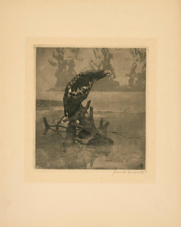 Hans Frank, Adler, 1910, Holzschnitt und Aquatinta auf Papier, 22 x 20 cm, Belvedere, Wien, Inv…