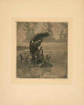 Hans Frank, Adler, 1910, Holzschnitt und Aquatinta auf Papier, 22 x 20 cm, Belvedere, Wien, Inv…