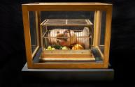 Curt Stenvert, Cave Canem! Oldtimer!, 1969, Holz, Plastik, Glas, Metall, 46,2 x 56,1 x 46,5 cm,…