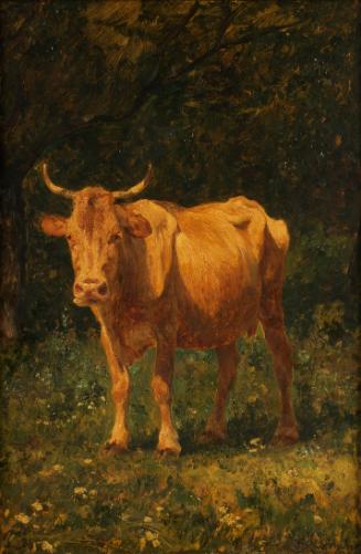 Carl Rudolf Huber, Semmelfarbene Kuh, 1898, Öl auf Mahagoni, 54,5 x 36,5 cm, Belvedere, Wien, I…