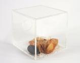 Fatima Bornemissza, In the Silence, undatiert, Mischtechnik, 20 × 21,5 × 20 cm, Belvedere, Wien…