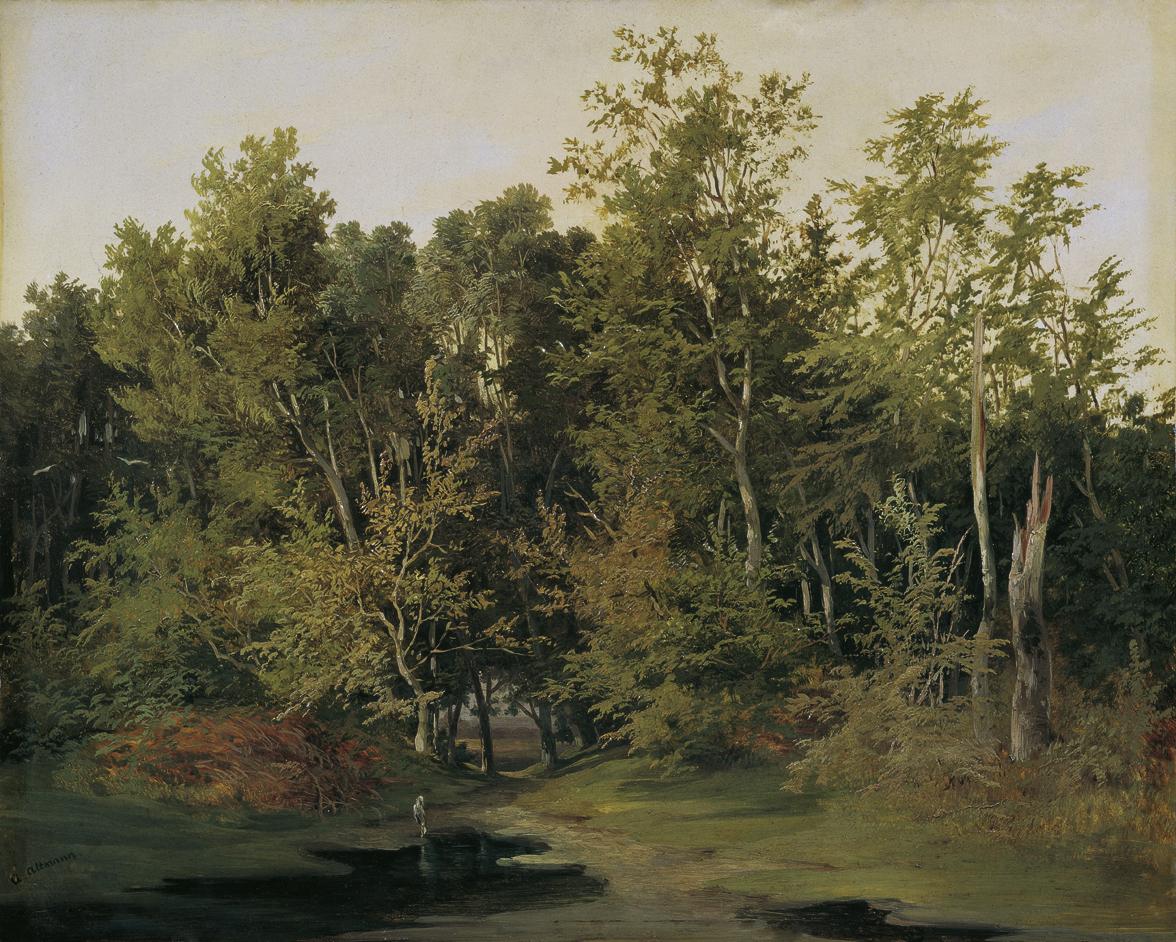 Anton Altmann der Jüngere, Waldlandschaft in Niederösterreich, um 1850, Öl auf Karton auf Holz,…