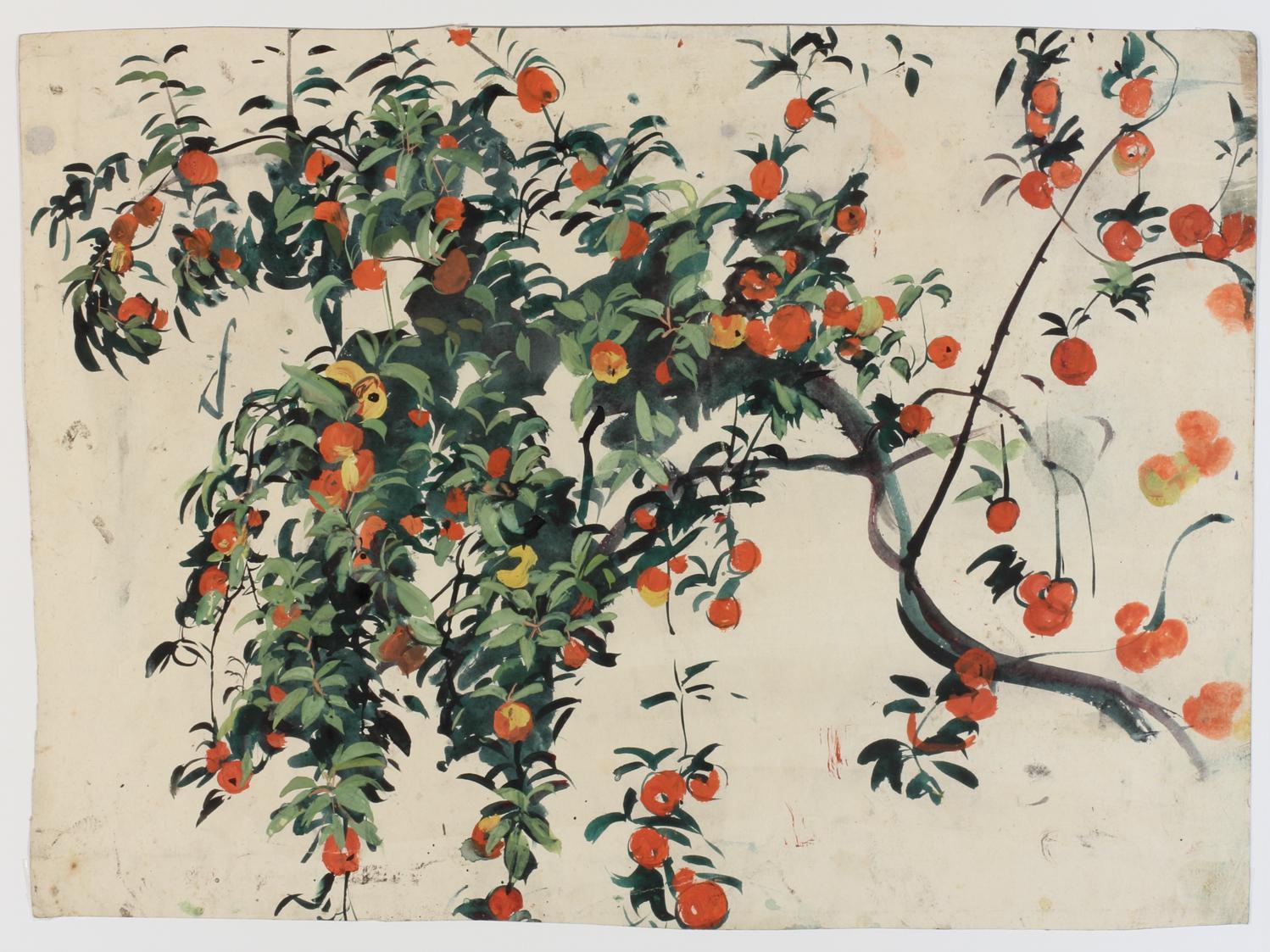 Ernestine Rotter-Peters, Apfelbaumzweig, 1930–1940, Tempera auf Papier, 28,6 x 38,4 cm, Belvede…