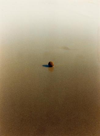 Helga Pasch, Skarabäus (Brutkugel), 1979, Farbfoto, 40 × 29,5 cm, Belvedere, Wien, Inv.-Nr. 831…