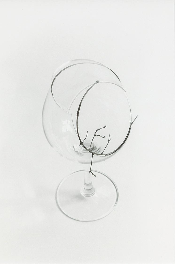 Gerald Domenig, Ohne Titel (Glas mit Zweig), 2011, Schwarzweißfoto auf Barytpapier, 56 × 46 cm,…