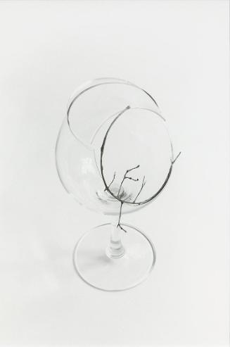 Gerald Domenig, Ohne Titel (Glas mit Zweig), 2011, Schwarzweißfoto auf Barytpapier, 56 × 46 cm,…