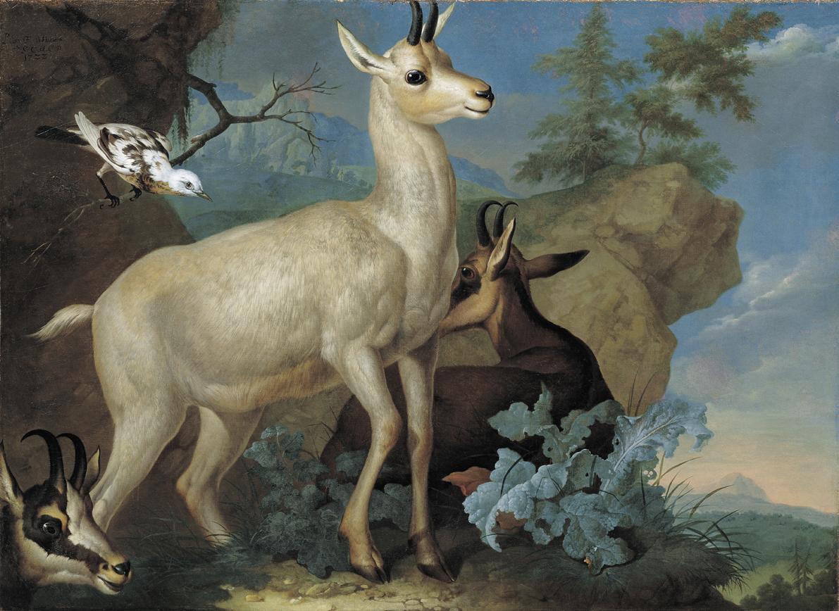 Philipp Ferdinand de Hamilton, Drei Gemsen und eine Amsel (Ehemals Supraporte im Tafelzimmer de…
